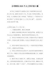 公司财务2023个人工作计划3篇