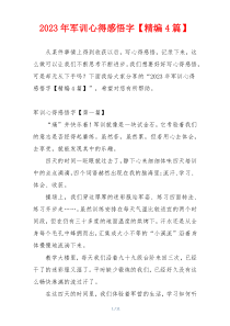 2023年军训心得感悟字【精编4篇】
