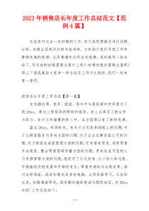 2023年销售店长年度工作总结范文【范例4篇】