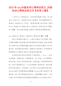 2023年erp沙盘实训心得体会范文_沙盘实训心得体会范文字【实用4篇】