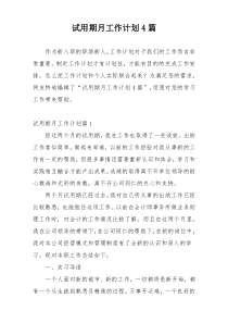 试用期月工作计划4篇
