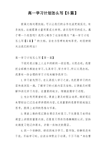 高一学习计划怎么写【5篇】