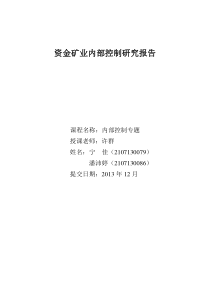 资金矿业内部控制与分析