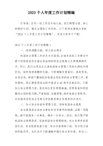 2023个人年度工作计划精编