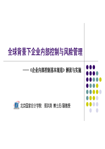郑洪涛内部控制基本规范解读