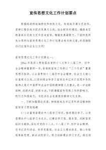 宣传思想文化工作计划要点
