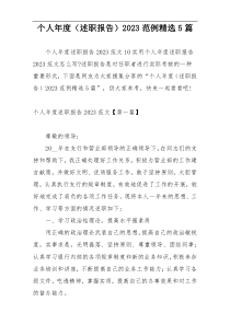 个人年度（述职报告）2023范例精选5篇