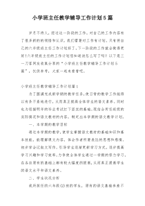 小学班主任教学辅导工作计划5篇