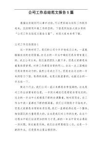 公司工作总结范文报告5篇