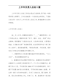 上半年负责人总结5篇