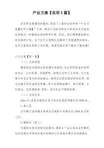 产业方案【实用5篇】