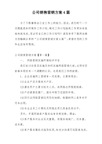 公司销售营销方案4篇