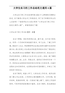 大学生实习的工作总结范文通用4篇