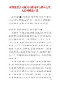 抓党建促乡村振兴专题培训心得体会范文范例精选4篇