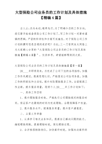 大型保险公司业务员的工作计划及具体措施【精编4篇】