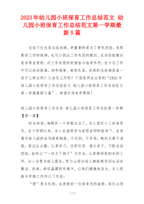2023年幼儿园小班保育工作总结范文 幼儿园小班保育工作总结范文第一学期最新5篇