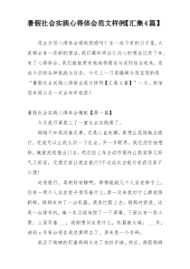 暑假社会实践心得体会范文样例【汇集4篇】