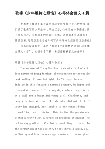 歌德《少年维特之烦恼》心得体会范文4篇