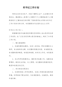 村书记工作计划
