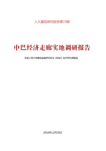 中巴经济走廊实际调研报告（PDF40页）