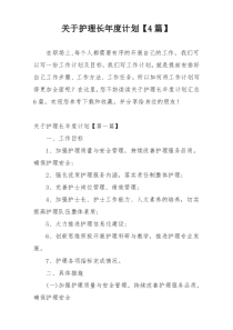 关于护理长年度计划【4篇】