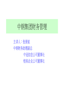 中钢集团财务管理