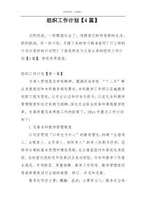 组织工作计划【4篇】