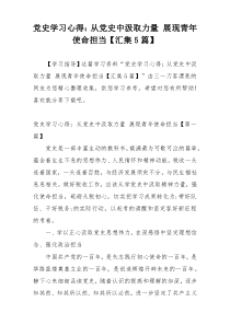 党史学习心得：从党史中汲取力量 展现青年使命担当【汇集5篇】