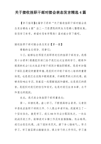 关于接收挂职干部对接会表态发言精选4篇