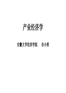产业经济学 第一章