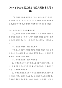 2023年护士年度工作总结范文范例【实用4篇】