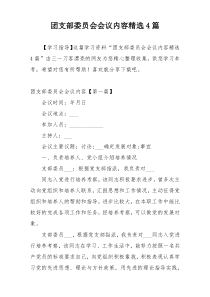 团支部委员会会议内容精选4篇