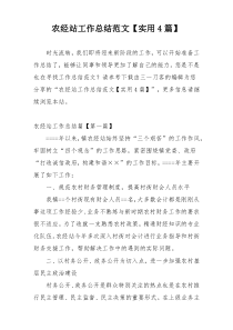 农经站工作总结范文【实用4篇】