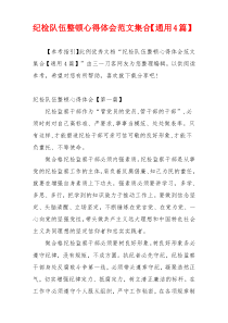纪检队伍整顿心得体会范文集合【通用4篇】