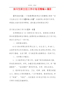 实习生班主任工作计划【精编4篇】