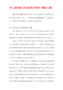 员工试用期工作总结范文范例（精选4篇）