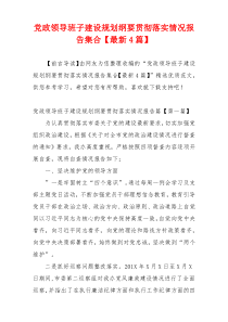 党政领导班子建设规划纲要贯彻落实情况报告集合【最新4篇】