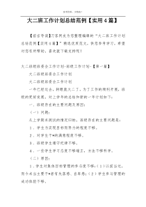 大二班工作计划总结范例【实用4篇】