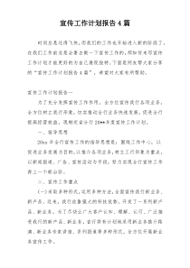 宣传工作计划报告4篇
