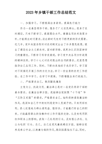 2023年乡镇干部工作总结范文