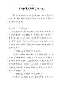 审计员个人年终总结5篇