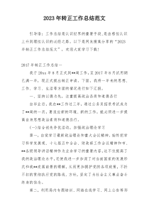 2023年转正工作总结范文