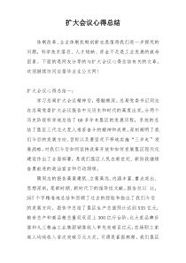 扩大会议心得总结