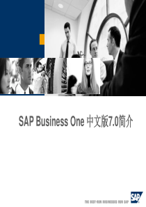 SAP BusinessOne中文版70介绍