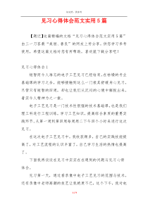 见习心得体会范文实用5篇