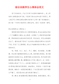 综合实践学生心得体会范文