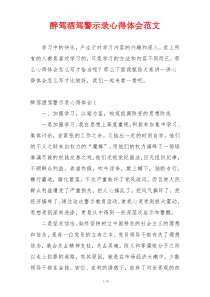 醉驾酒驾警示录心得体会范文