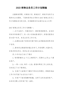 2023销售业务员工作计划精编