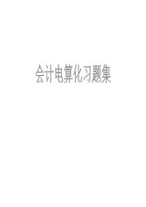 会计电算化习题集(XXXX)