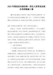 2023年推进法治建设第一责任人职责述法报告范例精编3篇